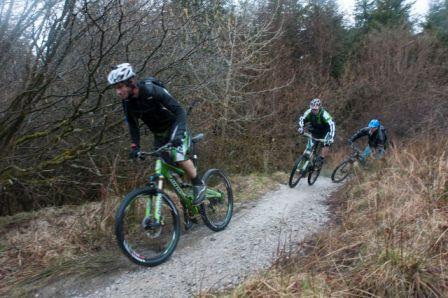 Guy chased down the snake by Nick & Nige