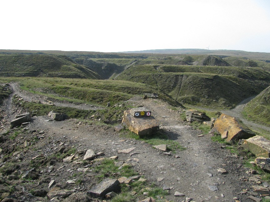 Lee Quarry - The first Black option