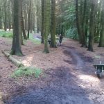 Hurstwood Trail Maintenance